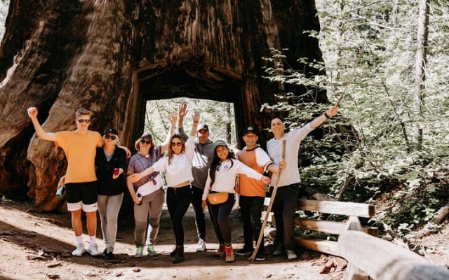 San Francisco to Yosemite One-Way Transfer
