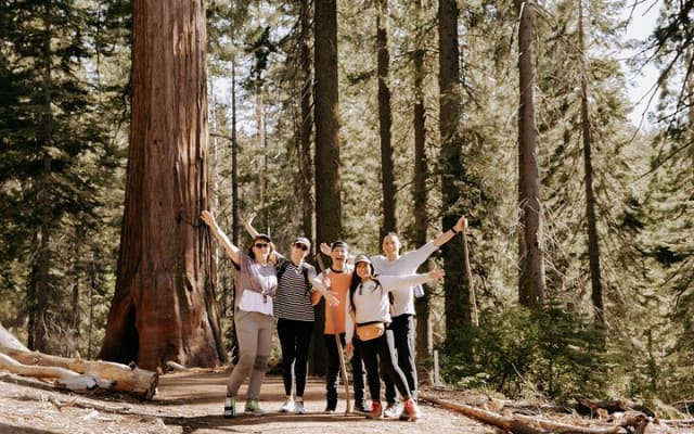 Yosemite National Park & Giant Sequoias 2-Day Semi-Guided Tour