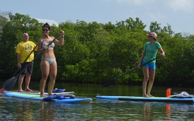 Key West Stand Up Paddleboard Rental 