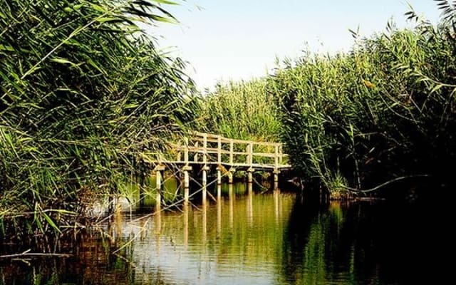 Shaumari Reserve and Azraq Wetland Private Full Day Tour from Amman
