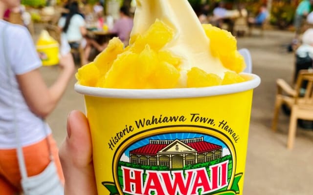 Private Half-Day Circle Island Highlights Tour in Oahu