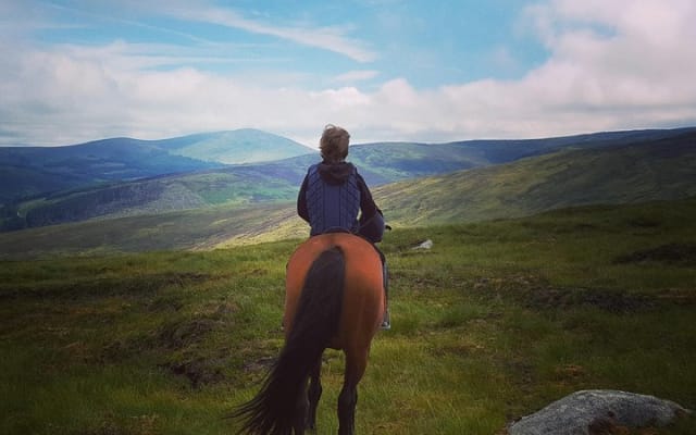 Wicklow Mountains Horse Trekking