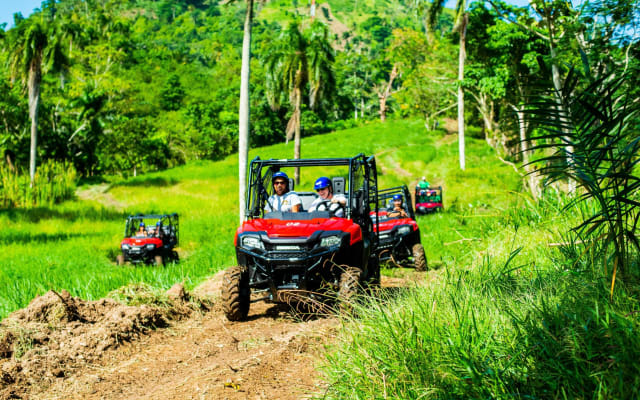 Jungle Buggies + Ziplines Adventures