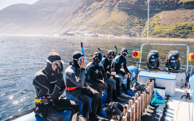 Guided Boat Snorkeling Adventure