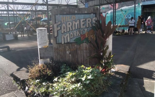 Hilo History and Legends (APP) Audio Self Guided Walking Tour