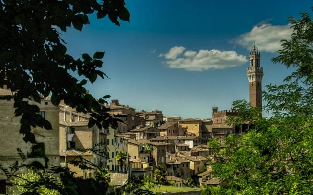 Touristation: From Rome to Siena Day Trip with High-Speed Train & Cathedral of Siena
