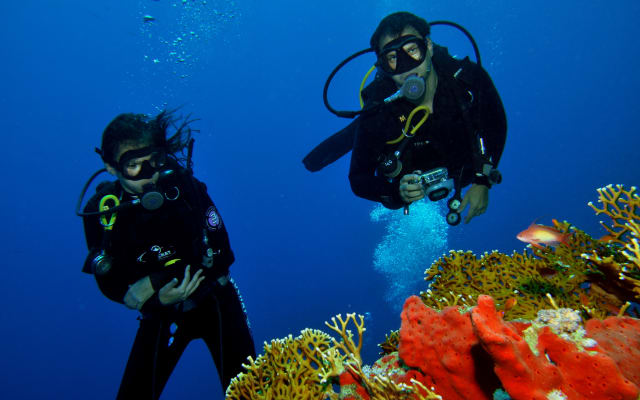 8 Dives by boat or by shore