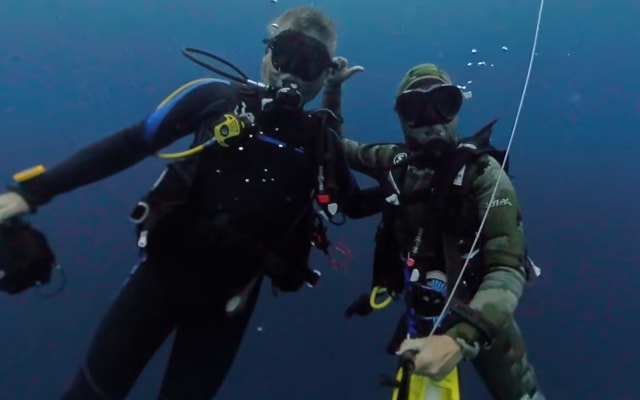 Half-Day Dive Trip