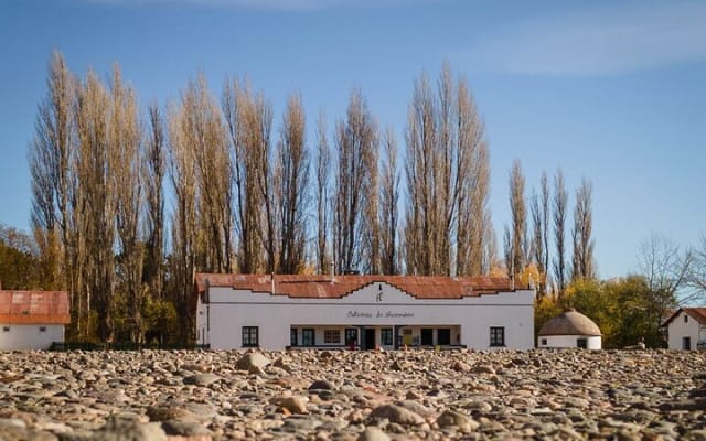 Excursión Privada de Día Completo Parque Nacional Patagonia