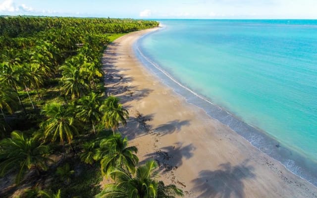 Hibiscus Alagoas Beach Club - Dia completo