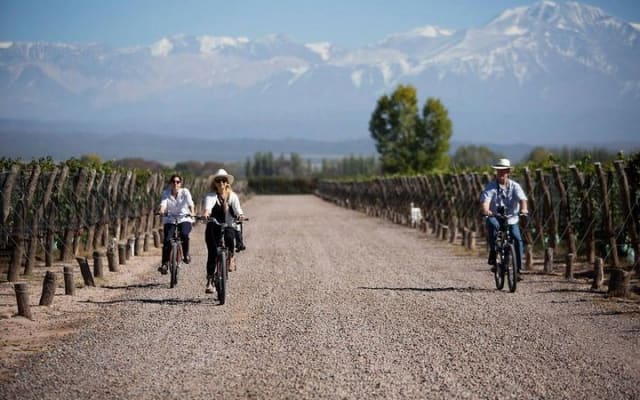Mendoza, Bike por Bodegas y Viñedos - Dia completo