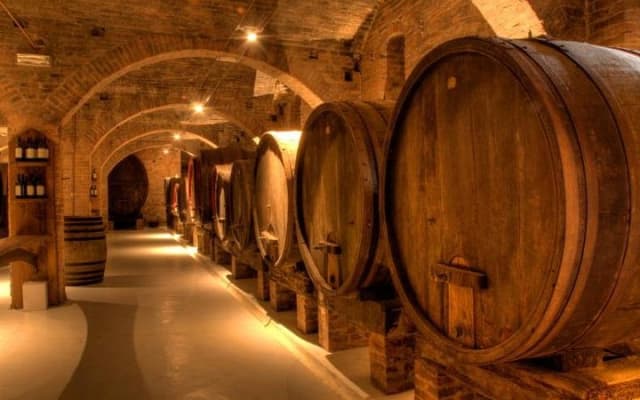 Mendoza, Bodegas y Aceiteras - Medio día
