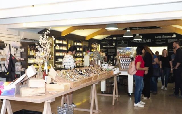 From Adelaide: Discover Adelaide Hills, Hahndorf & Mount Lofty