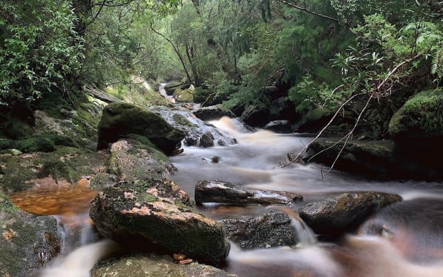 Tasmania Wilderness & Whiskey Tour