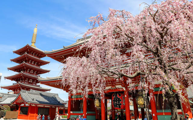 1-Day Tokyo Bus Tour