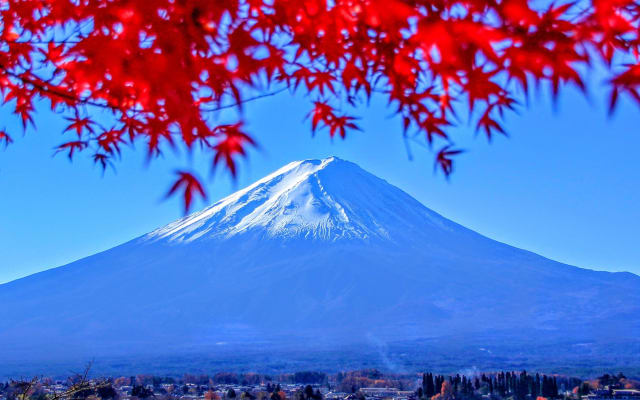 Mt. Fuji and Hakone 1-Day Tour with Bullet Train Return