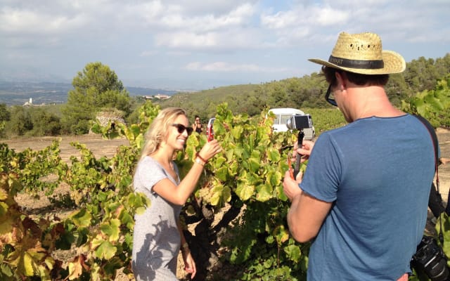 Coastal E-Bike Wine Tasting Tour