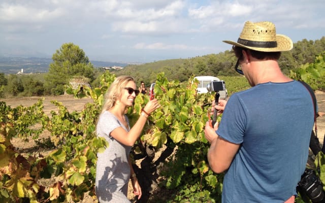 Private Wine Tasting & E-Bike Barcelona's Coastline Small Group Tour