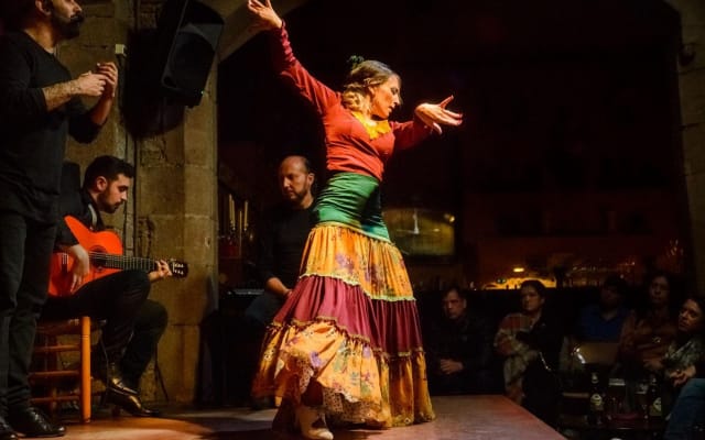 Malaga Tapas, Wine & Flamenco Tour