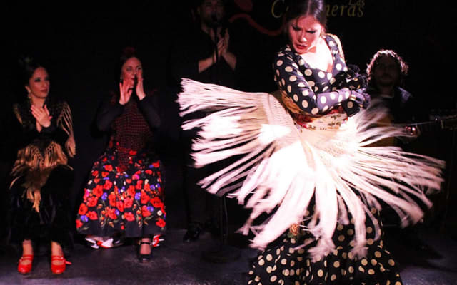 Madrid Tapas and Flamenco Night