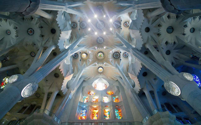 Gaudí Highlights Private Tour with Sagrada Familia Visit