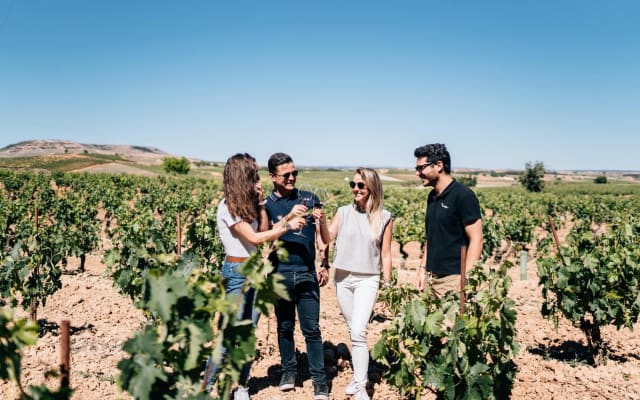 Segovia and Ribera del Duero Winery Tour