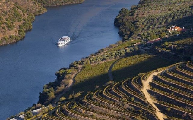 Douro Valley River Cruise with Meals and Tasting