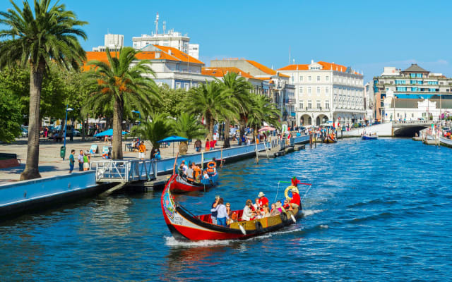 Aveiro and Costa Nova Half-Day Tour with Boat Ride