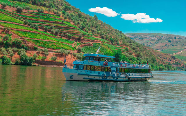 Douro Valley Cruise with Lunch