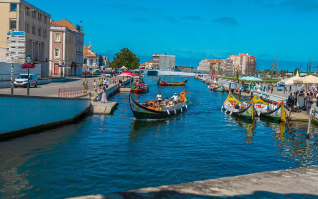 Coimbra & Aveiro Full-Day Private Tour from Porto