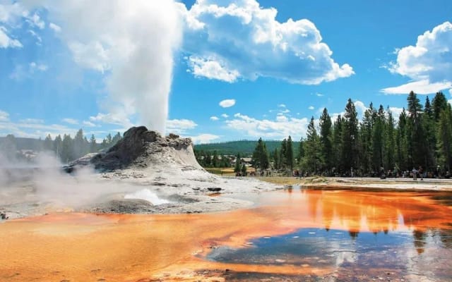 Yellowstone Grand Teton Coeur d'Alene 5-Day Tour