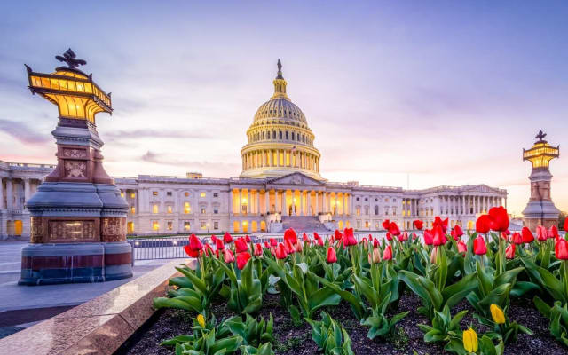 Washington D.C. Film Locations Tour
