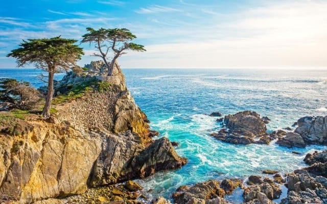 17-Mile Drive & Pebble Beach Tour