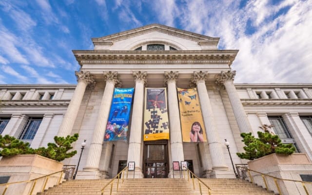 Smithsonian Museum Chinese Guided Tour