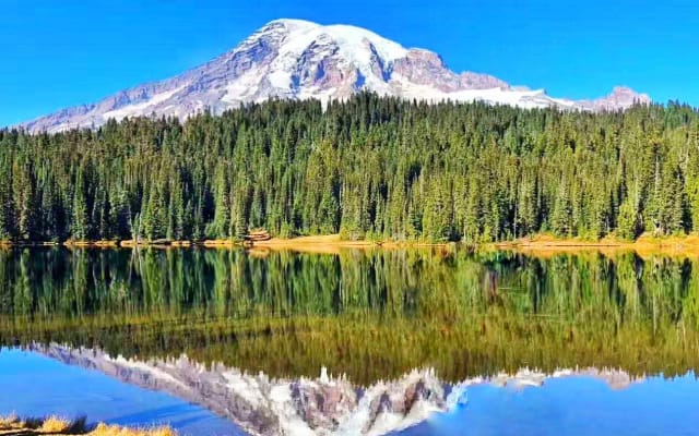 Mount Rainier National Park Day Tour from Seattle