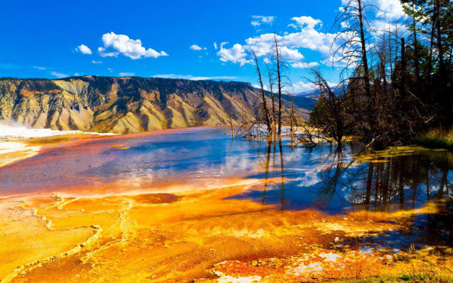7-Day Grand Canyon & Vegas Tour