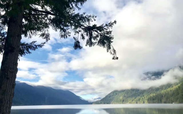 Olympic National Park Day Tour