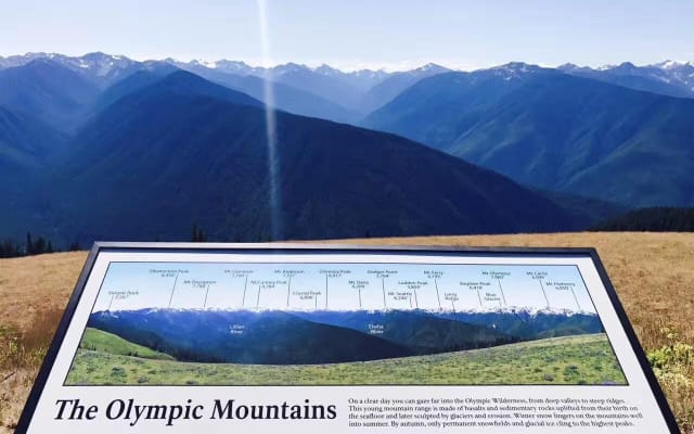 Olympic National Park Day Tour from Seattle