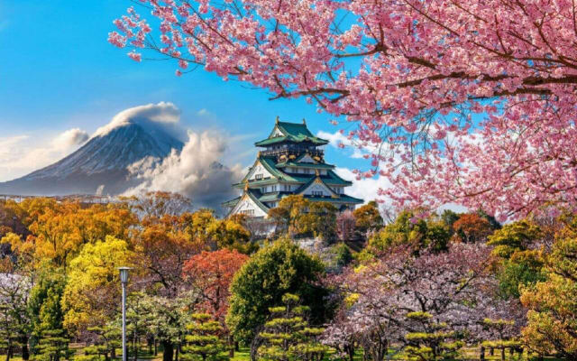 6-Day Japan Cultural Tour