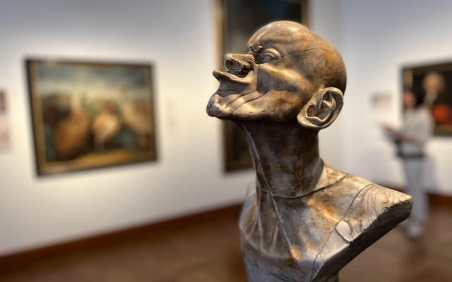 Vienna Belvedere Museum Private Tour