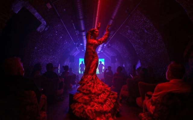 Intimate Flamenco Show & Spanish Drink in Madrid at La Carmela