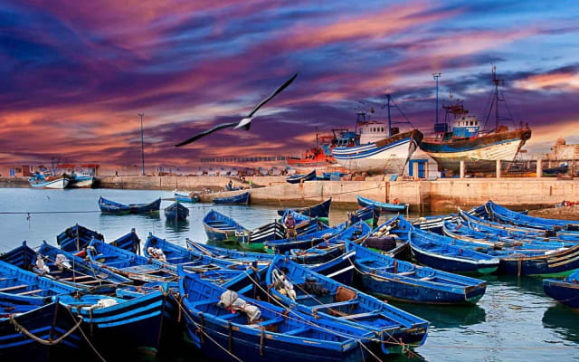 Essaouira Private Full-Day Trip from Marrakech