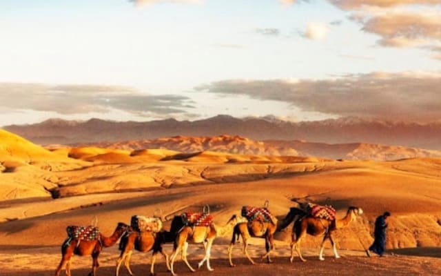 Agafay Desert & Berber Villages Adventure