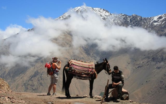 Atlas Mountains 2-Day Trekking Adventure