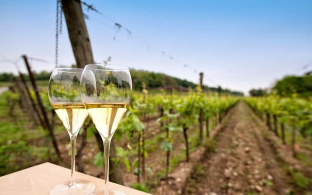 Franciacorta Wine Tasting Tour with Lake Iseo Cruise