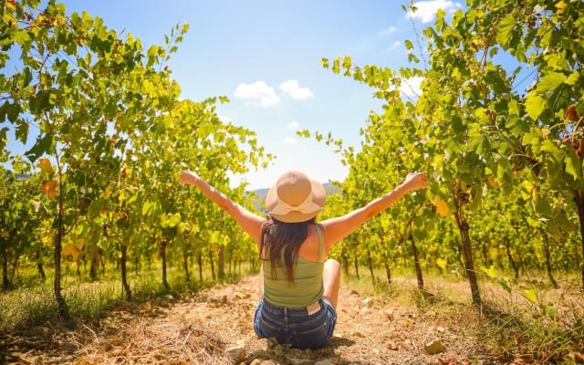 Chianti Vineyard Half-Day Tour with Wine Tastings