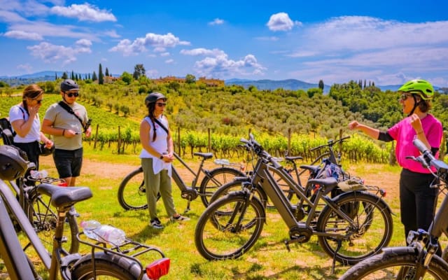 Chianti Hills E-Bike Tour with Tuscan Lunch & Two Wine Tastings