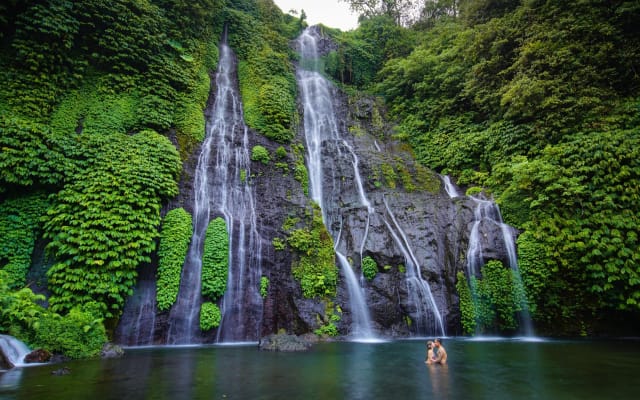 Private North Bali Waterfalls Tour