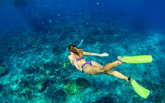 Heaven Gate Temple, Tirta Gangga & Blue Lagoon Snorkeling Tour