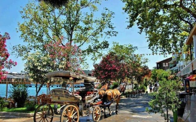 Istanbul Princes Island Tour with Lunch & Hotel Transfer